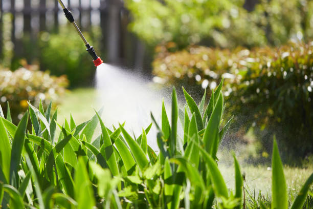24/7 Emergency Fumigation Services experts in Linda, CA