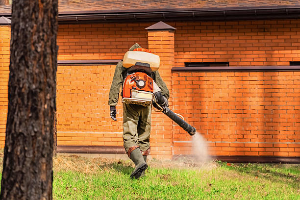 Trusted Bed Bug Control service in Linda, CA - Nex Pest Control